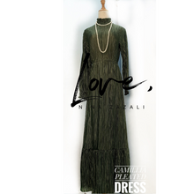Load image into Gallery viewer, CAMILLIA - PLEATED DRESS
